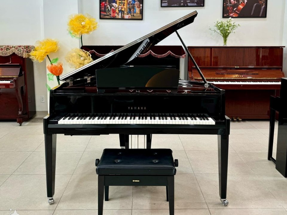 Hình ảnh chi tiết AVANT GRAND N3X (USED) góc chụp 2